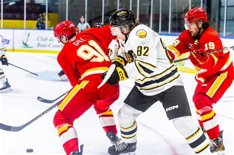 meilleur pointeur lhjmq 2022 2023.
